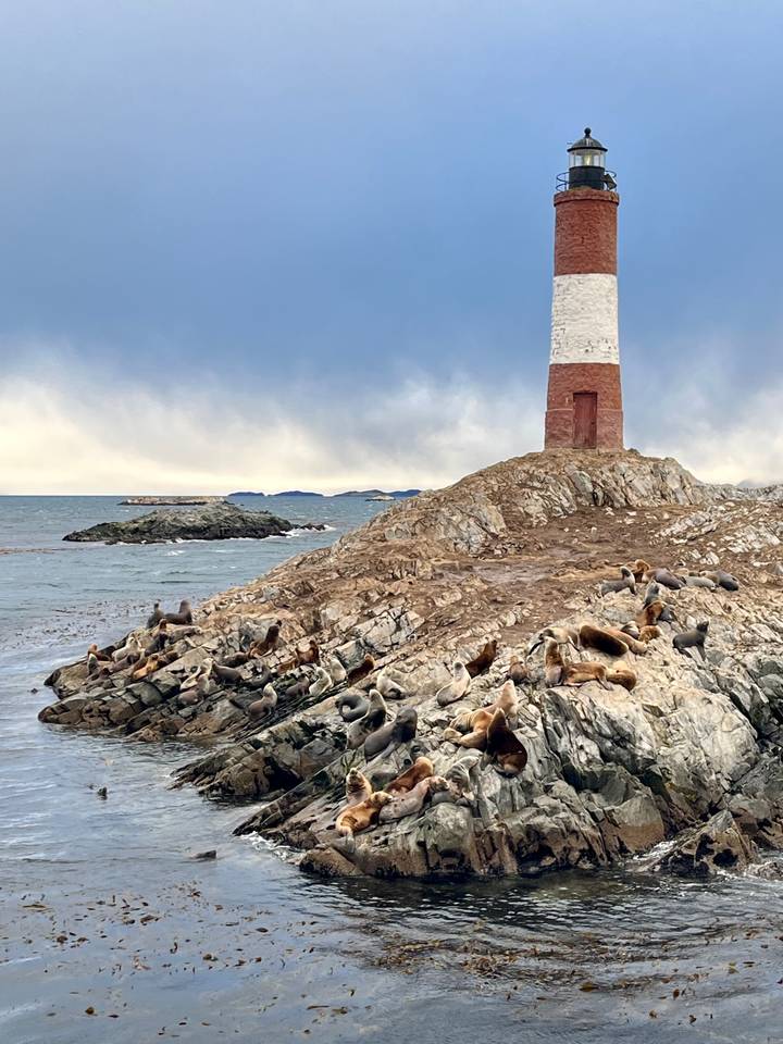 A red-and-white lighthouse stands on a rocky island populated by dozens of sea lions beside a grey sea and overcast sky.