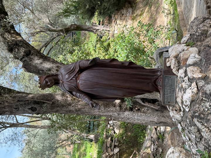 Bronze statue of the Virgin Mary standing beneath olive trees on a rocky pedestal.