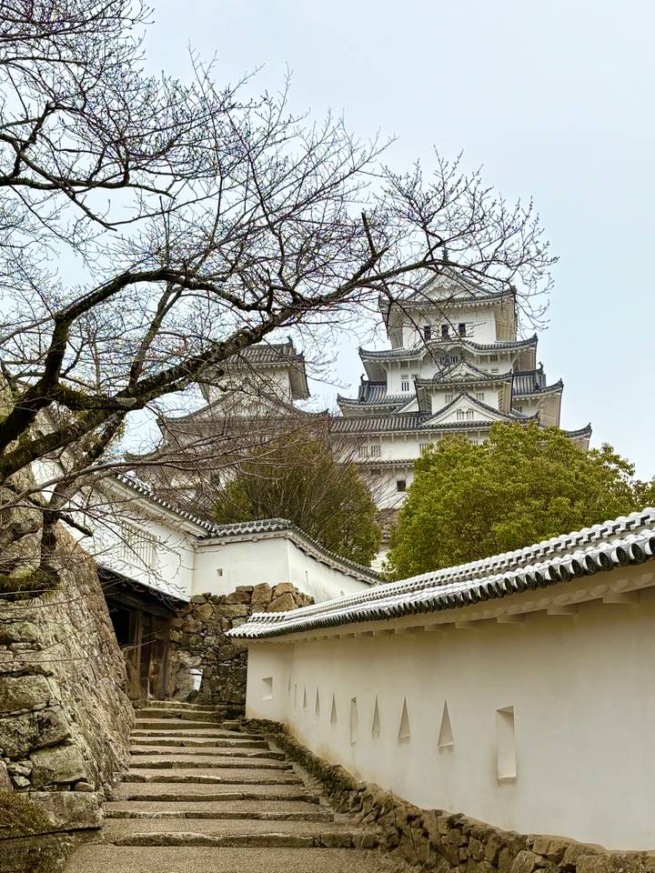 View of majestic Himeji Castle’s white walls and tiled roofs framed by tree branches.