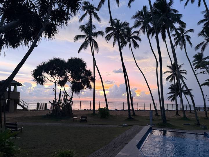 Silhouetted palm trees frame a colorful ocean sunset at a tropical beachfront.