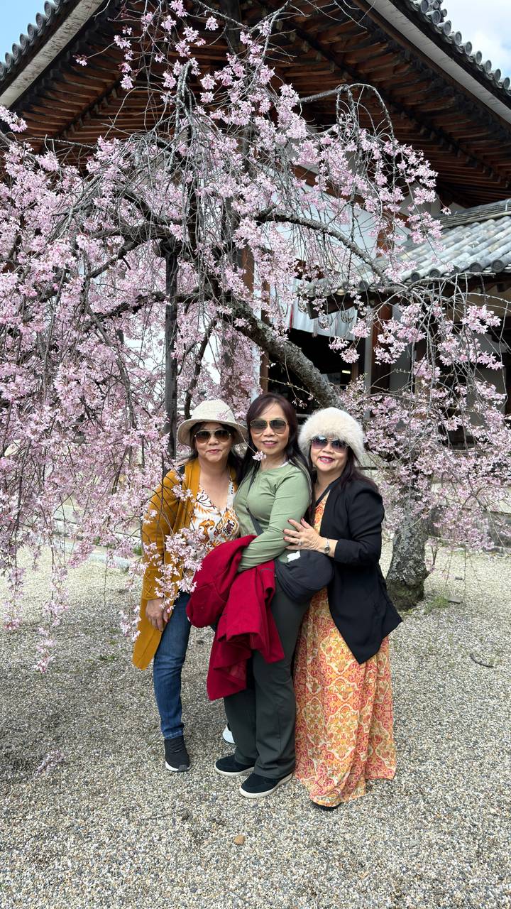 Three women pose happily beneath cascading pink cherry blossoms at a temple courtyard.