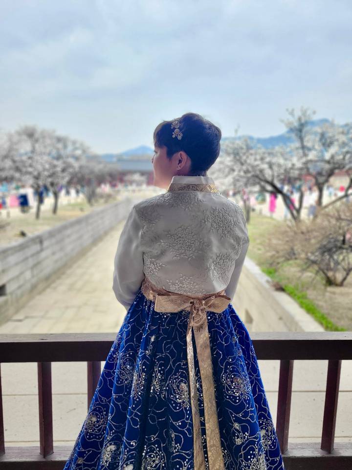 Back view of a woman wearing a traditional hanbok looking out over a courtyard filled with cherry blossoms.