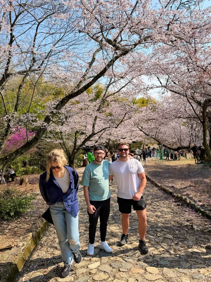 Three travelers walking beneath blooming cherry trees in a sunlit park path.