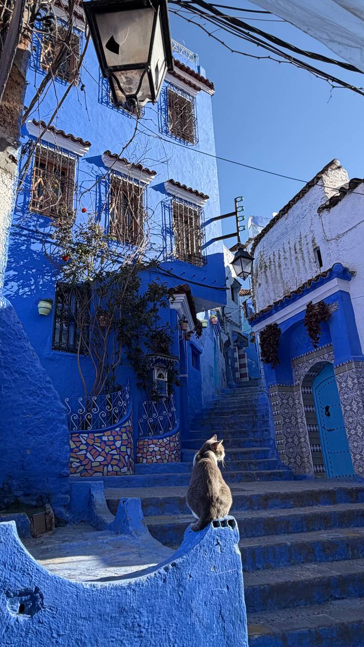 Narrow blue-painted alley with stairway and traditional décor in Chefchaouen.