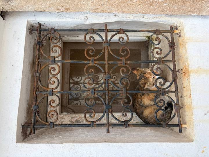 Sleeping cat curled up behind ornate wrought-iron window bars.