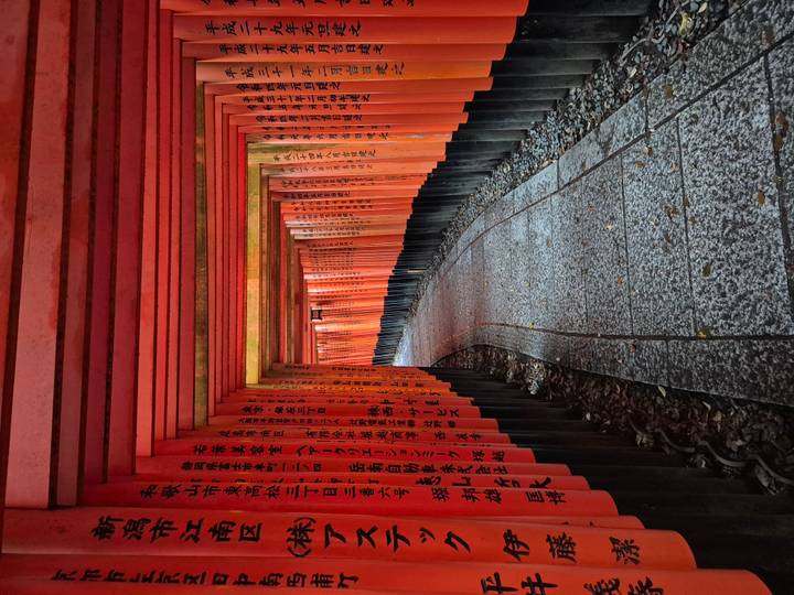 Endless corridor of vivid red torii gates curving through Fushimi Inari Shrine.