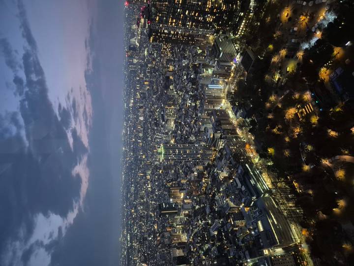 Sweeping night skyline of Tokyo glittering with thousands of city lights.