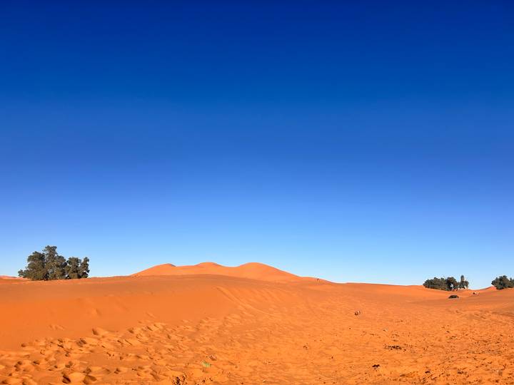 Vast expanse of orange Sahara dunes beneath a cloudless deep-blue sky.
