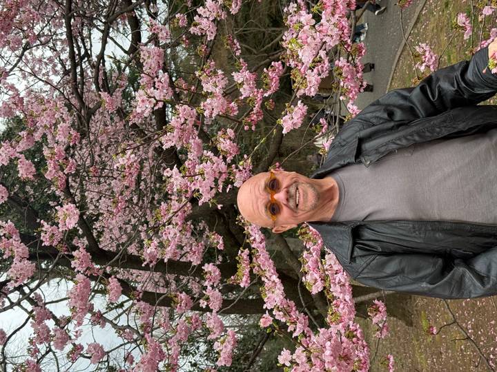 A smiling traveller poses beneath blooming pink cherry blossoms in Japan.