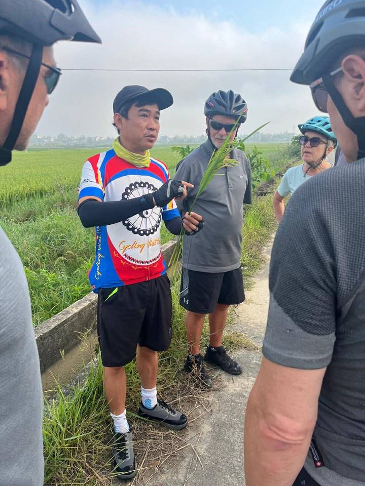 Cycling guide explaining a rice plant to travelers beside green paddies.