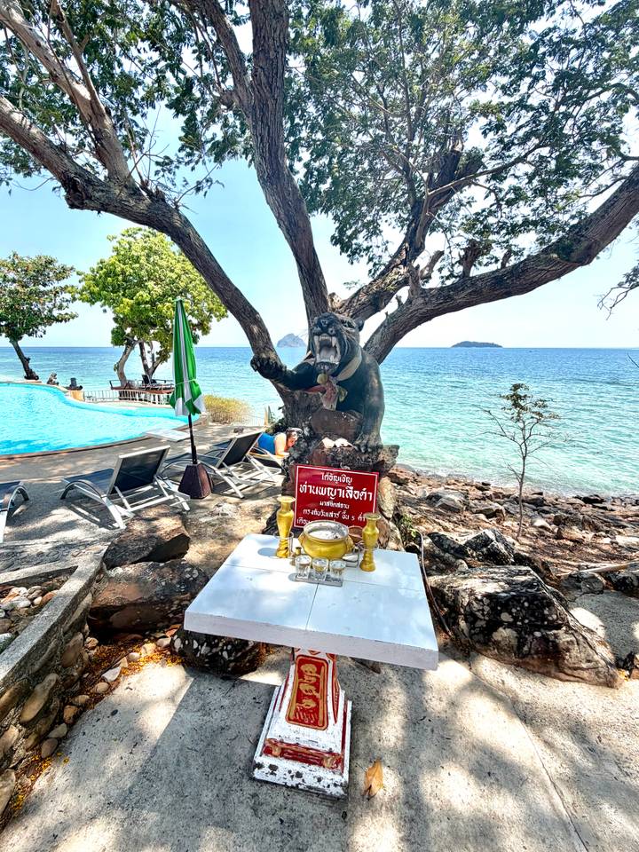 Poolside terrace facing a turquoise sea with sun loungers and a quirky monkey statue holding a warning sign.