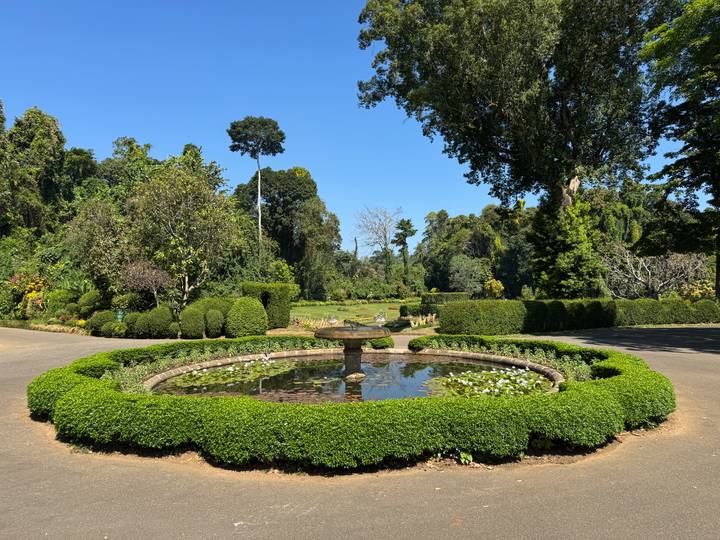Elegant circular water lily pond surrounded by manicured hedges in expansive botanical gardens.