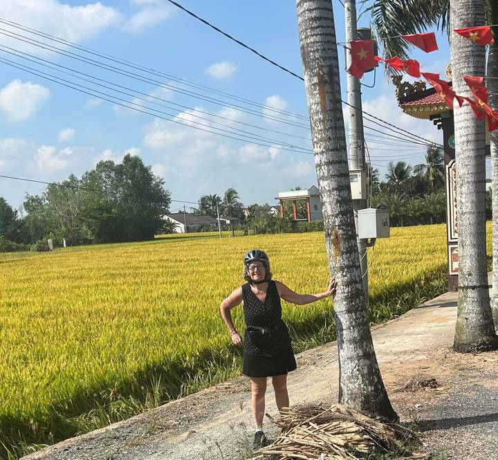 Cyclist pausing beside golden rice paddies under a bright blue sky in the Mekong Delta