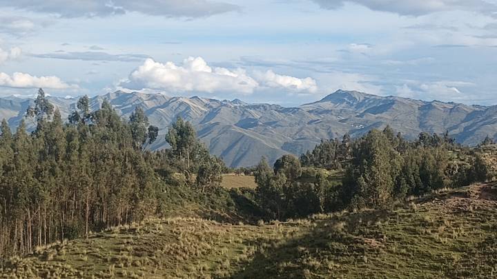 Rolling Andean hills covered in eucalyptus forests beneath dramatic cloud-dappled sky.