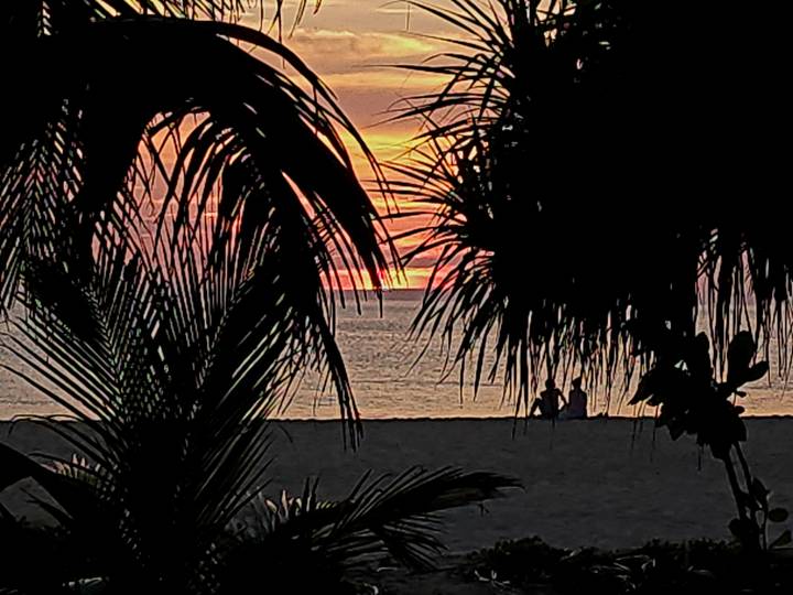 Silhouetted couple on a tropical beach watching a colorful sunset framed by palm leaves.
