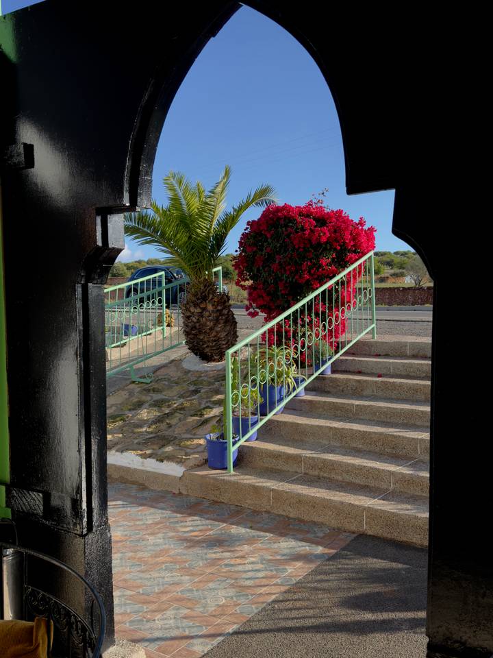 Stone steps bordered by a bright red bougainvillea and a palm in decorative pots.