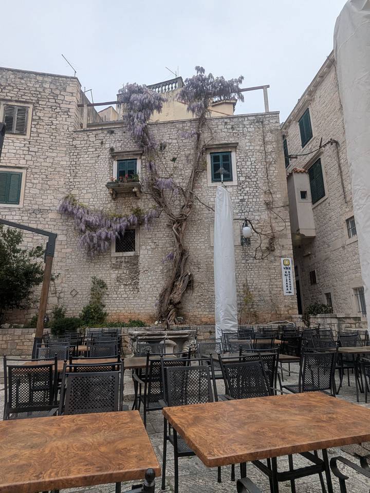 Stone courtyard with empty café tables and a blooming wisteria vine.