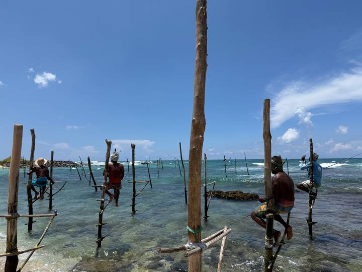 Traditional stilt fishermen balance on poles above clear blue waves along a tropical shoreline under bright sky.