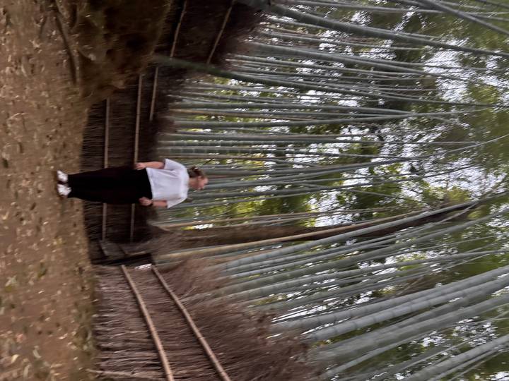 Vertical shot of a person gazing up at towering bamboo, heavily motion-blurred.