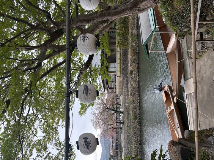Traditional wooden boats moored on a calm river framed by lanterns, trees, and blossoms.
