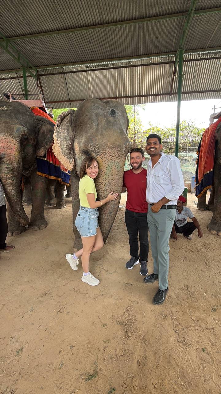 Travellers stand close to a decorated elephant, smiling for a photo in Jaipur