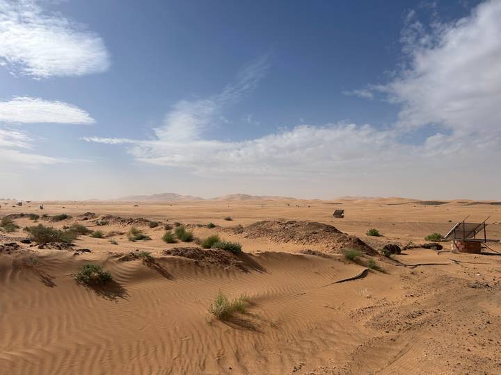 Vast sand dunes under a bright blue sky with scattered shrubs.