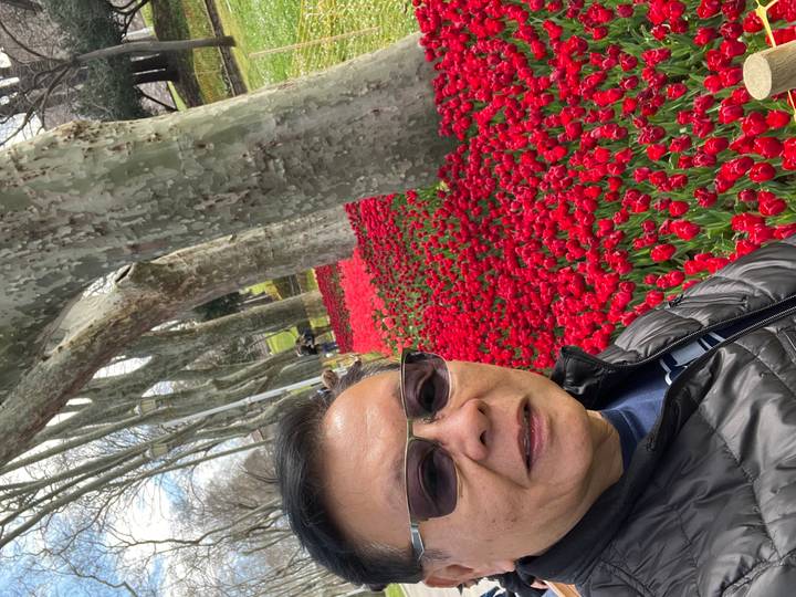 A man takes a selfie beside vibrant red tulip beds in a tree-lined park.