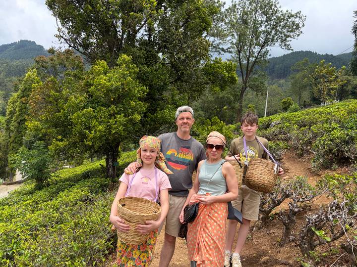 Family holding woven baskets stands among lush tea bushes on a plantation hillside