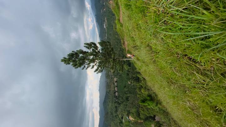 Hiker on grassy hillside overlooking forested valley and distant hills under moody clouds.