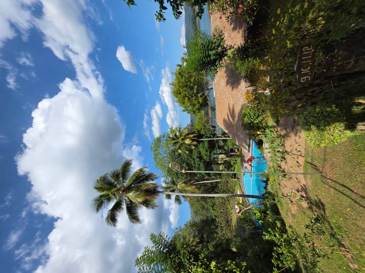 Tropical garden with palm trees and bright blue pool beside a thatched cottage on a sunny day.
