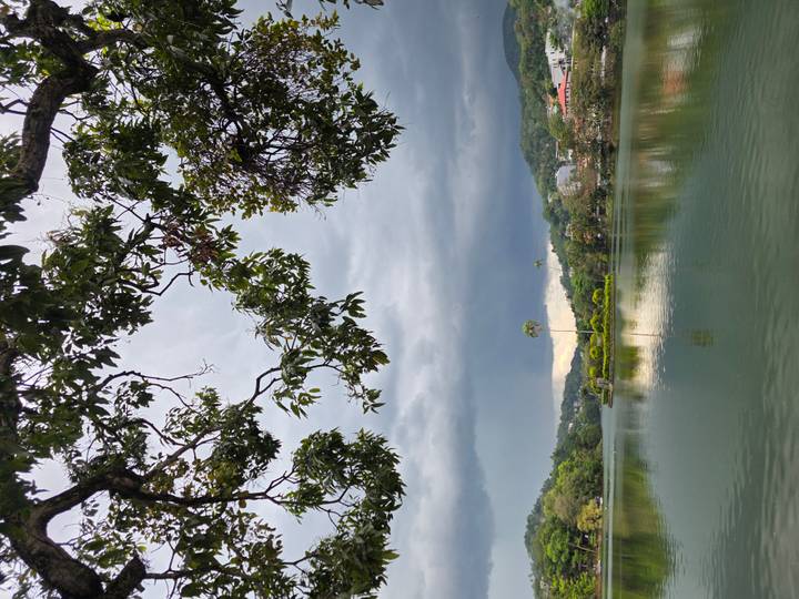 Lake scene framed by tree branches with looming dark clouds and lone palm island.