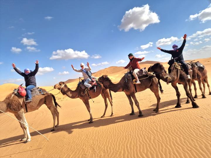 Travelers riding camels in single file across golden Sahara dunes with arms raised in celebration