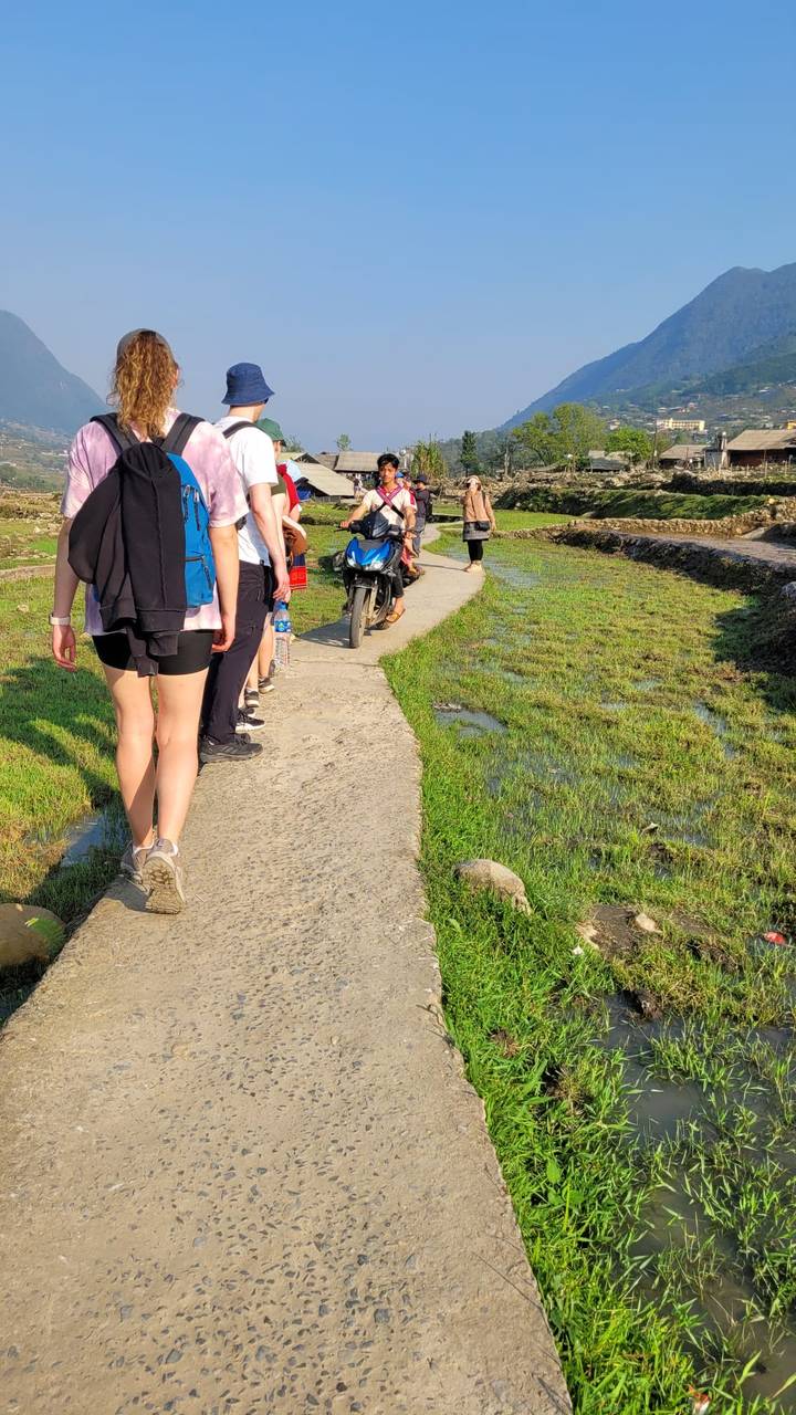 Travelers walking single-file along a narrow concrete path beside lush green rice paddies while a motorbike passes