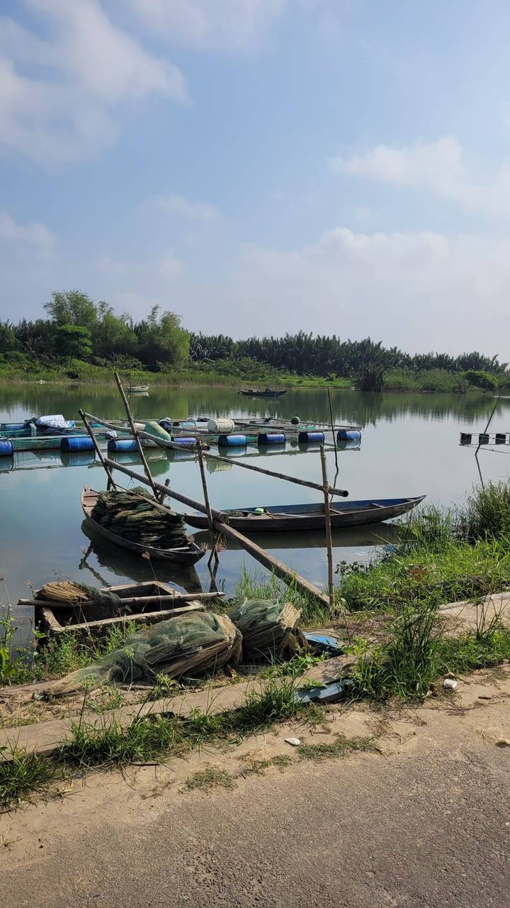 Tranquil scene of traditional wooden boats and floating fish cages on a calm river flanked by palms