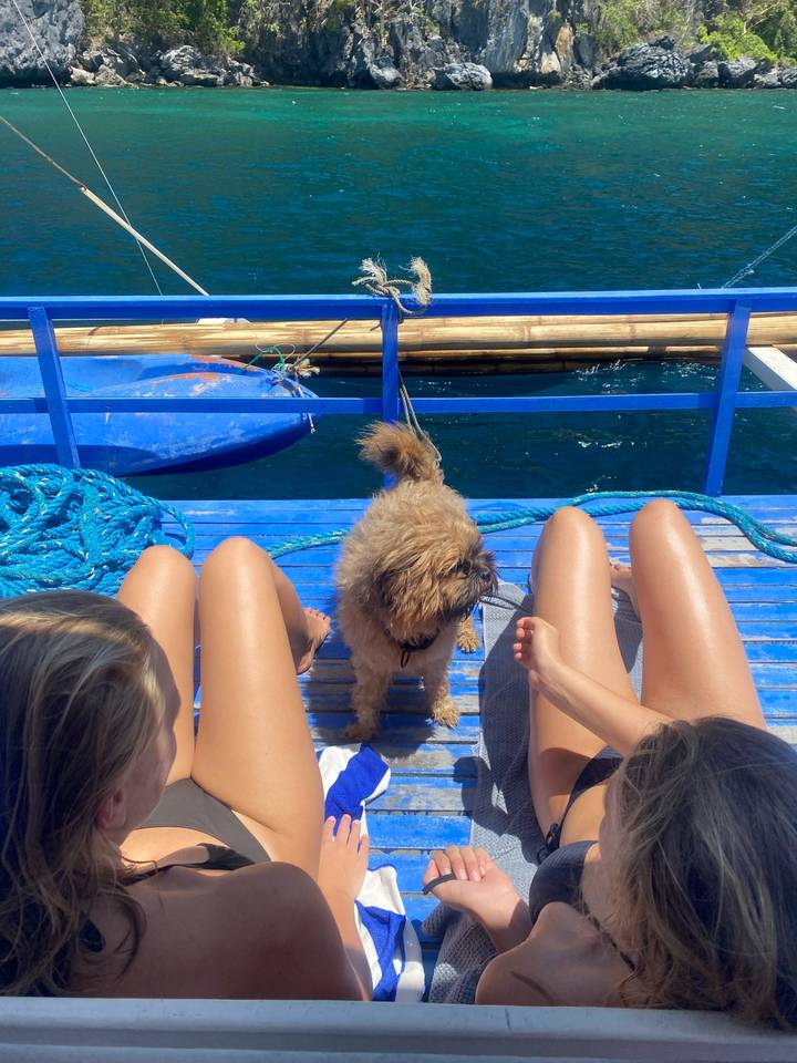 Small fluffy dog standing between friends' sun-tanned legs on blue wooden boat deck
