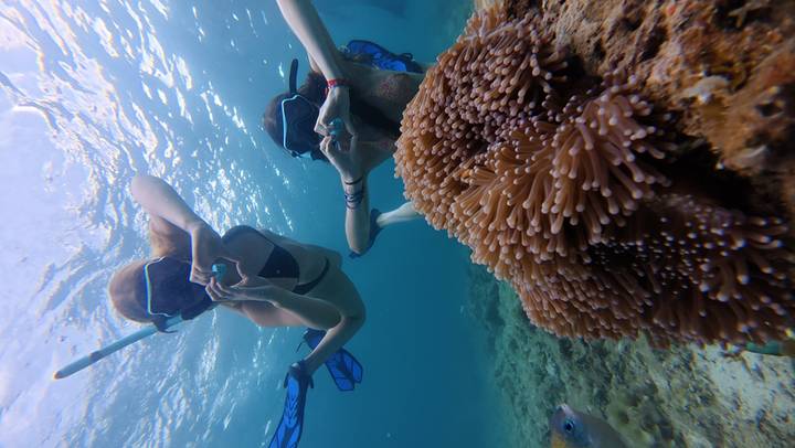 Two snorkellers underwater making hand-heart gestures near a vibrant coral formation.
