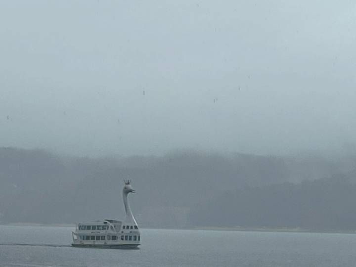 Fog-shrouded lake scene with a whimsical swan-shaped tour boat barely visible in the mist.