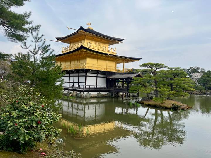 Golden Pavilion (Kinkaku-ji) gleams above its reflective pond framed by pine trees and manicured shrubs.