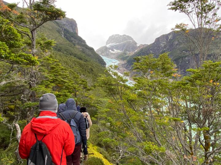 Hikers in colorful jackets trek through dense Patagonian forest toward a distant hanging glacier.