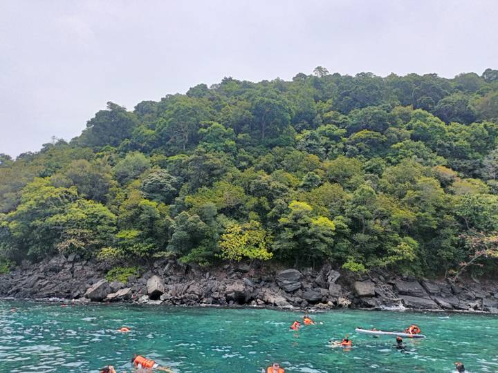 A densely forested hillside rises above a rocky shoreline and emerald sea under hazy skies.