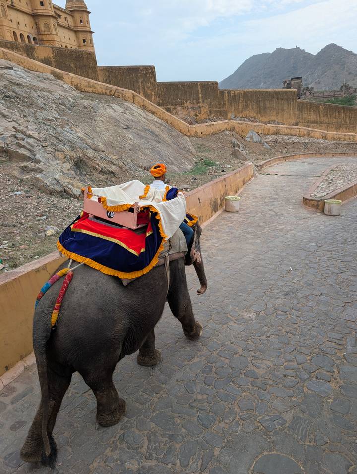 Decorated elephant carrying a single passenger up a stone road inside Amber Fort complex