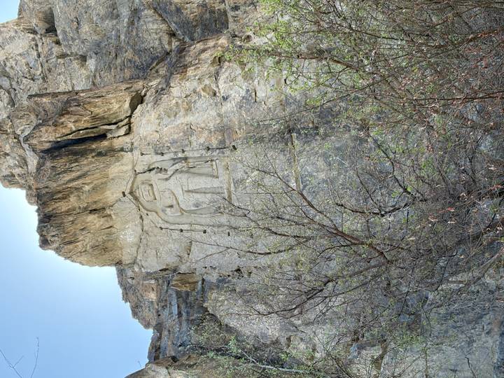 Distant view of tall Buddha relief carved on cliff face partially obscured by shrubs
