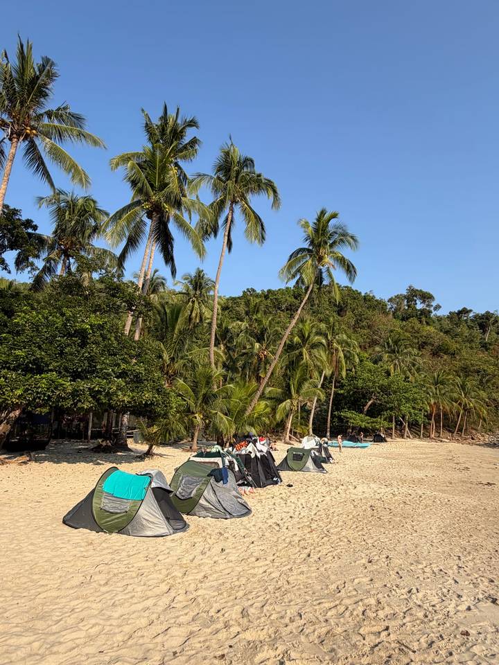 Palm-lined sandy beach with small boats pulled onto shore and dense jungle backdrop under clear blue sky.