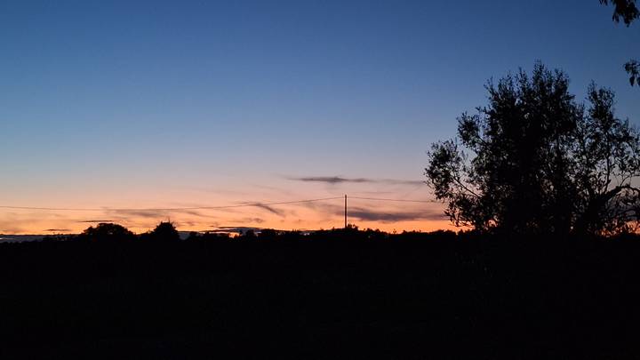 A vivid orange and blue sunset silhouettes a lone tree line.