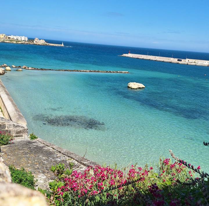 Crystal-clear turquoise water fills a small harbor with a stone breakwater.