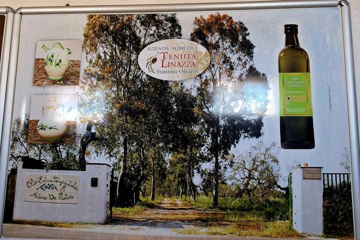 Framed promotional poster for an olive-oil estate with trees, ceramics and a bottle, showing glare from flash.
