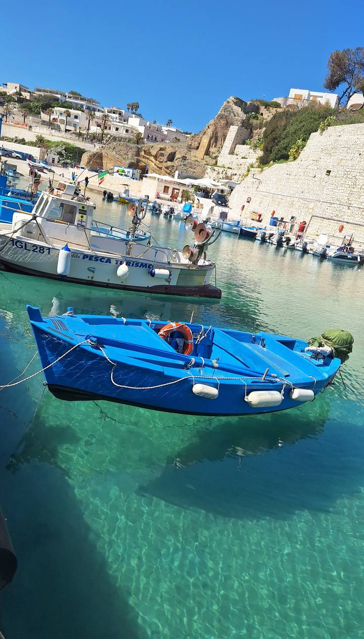 Bright blue fishing boat floating on clear green water with other small vessels nearby.