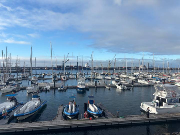 Busy marina packed with sailboats and yachts against a backdrop of cranes and distant ships