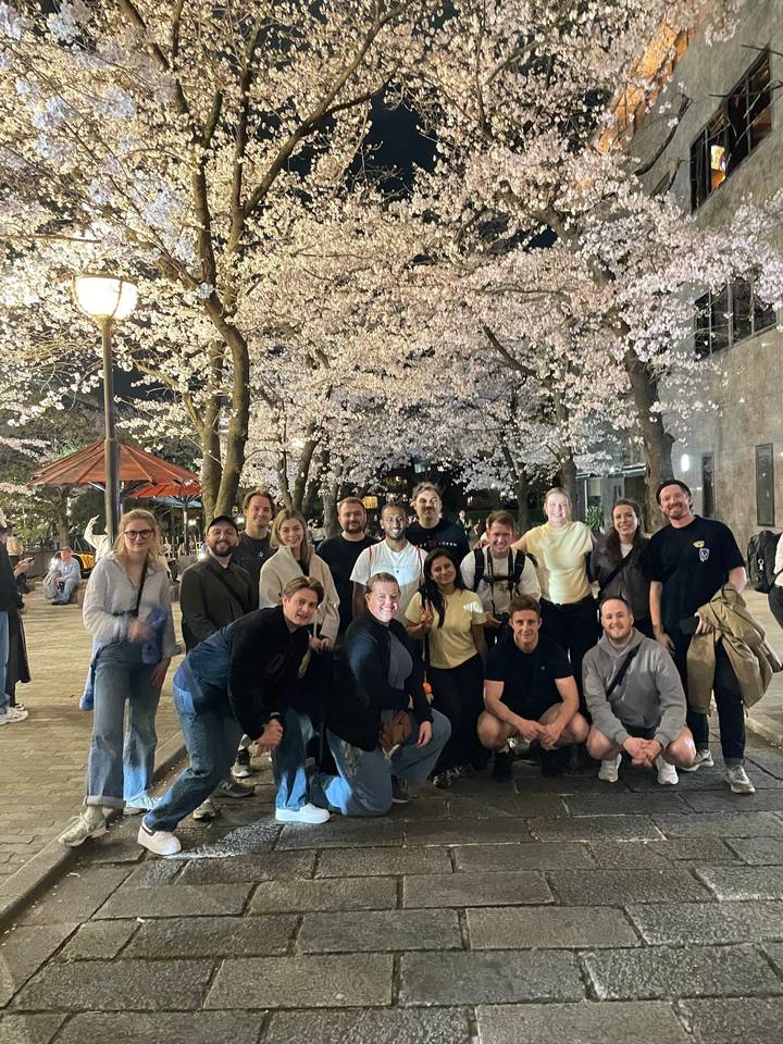 Large group of travellers gathered beneath illuminated night-time cherry blossoms in a city park.