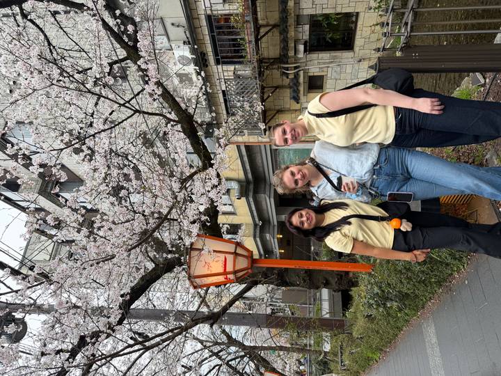Three women posing happily beneath blooming cherry blossom tree on an urban sidewalk.